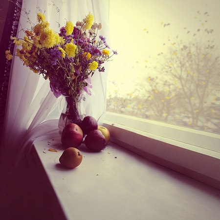 辦公室風(fēng)水,辦公室擺件,爛桃花風(fēng)水